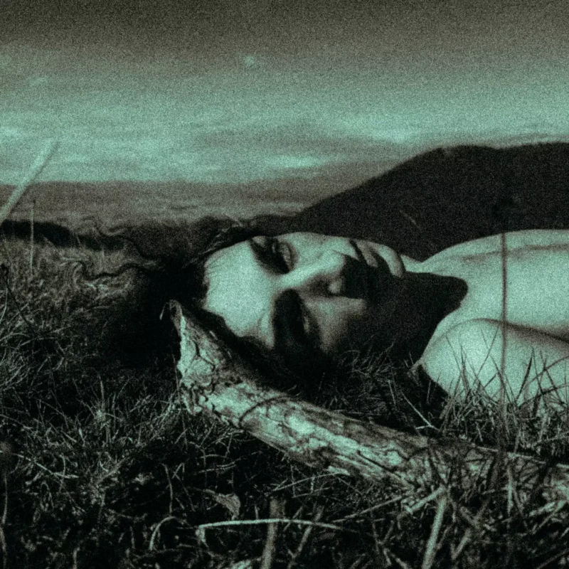 Človek leží na tráve so zatvorenými očami a oprie si hlavu o konár. Obraz má melancholický, modrozelený odtieň, ktorý evokuje pokojnú, snovú atmosféru.