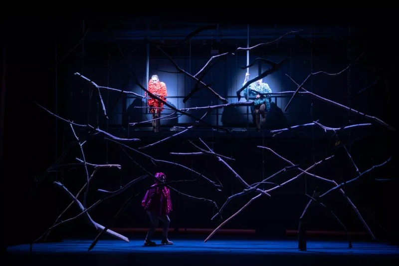 Na slabo osvetlenom javisku pôsobia dvaja účinkujúci v žiarivých kostýmoch na vyvýšenej plošine, orámovanej abstraktnými konármi. Jedna osoba stojí pod ňou a vytvára tajomnú, dramatickú scénu.