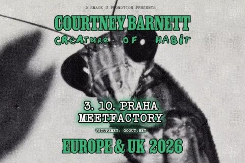 Plagát k turné Courtney Barnett s názvom „Creature of Habit“ v Európe a Spojenom kráľovstve v roku 2026. Obsahuje veľký abstraktný detailný záber hmyzu a detaily koncertu v zelenom texte.